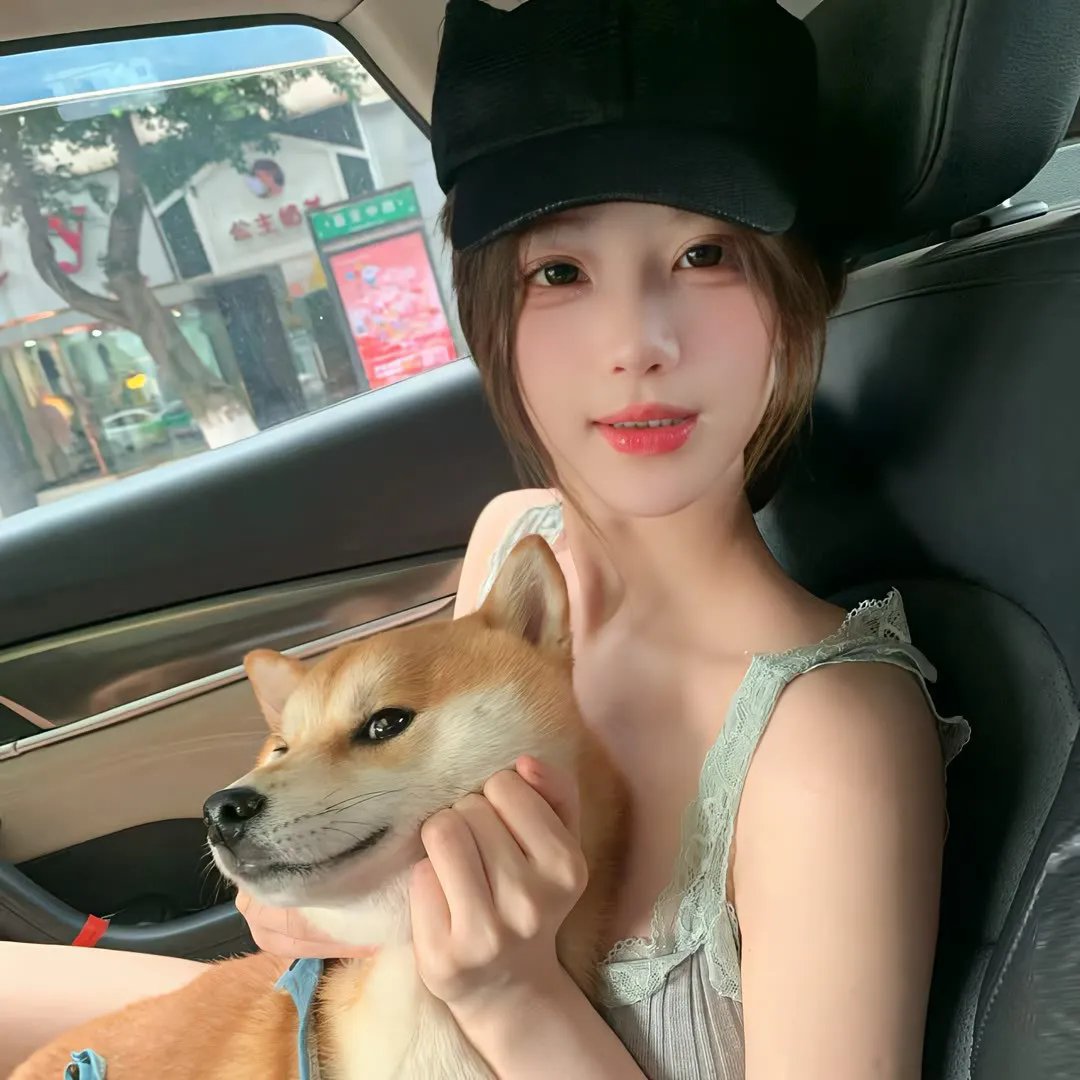 宝贝大盗